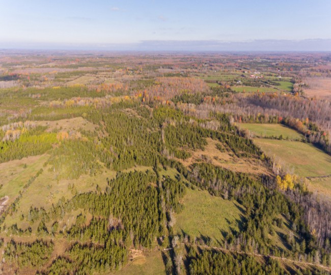 3289 Blessington Road, Shannonville