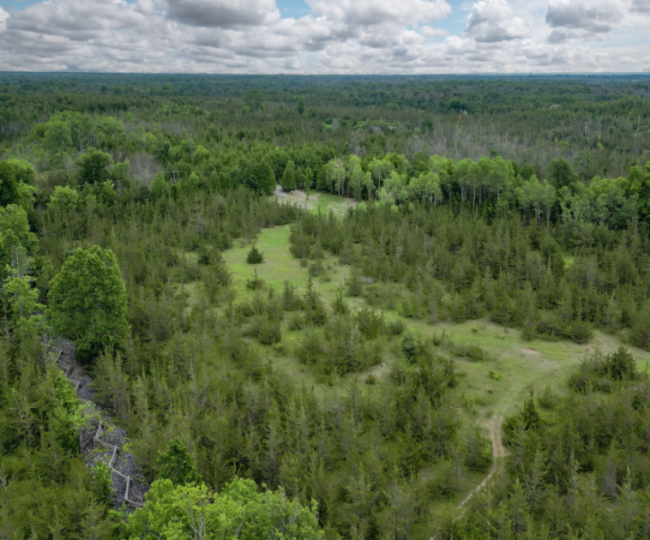 89 Power Road, Shannonville